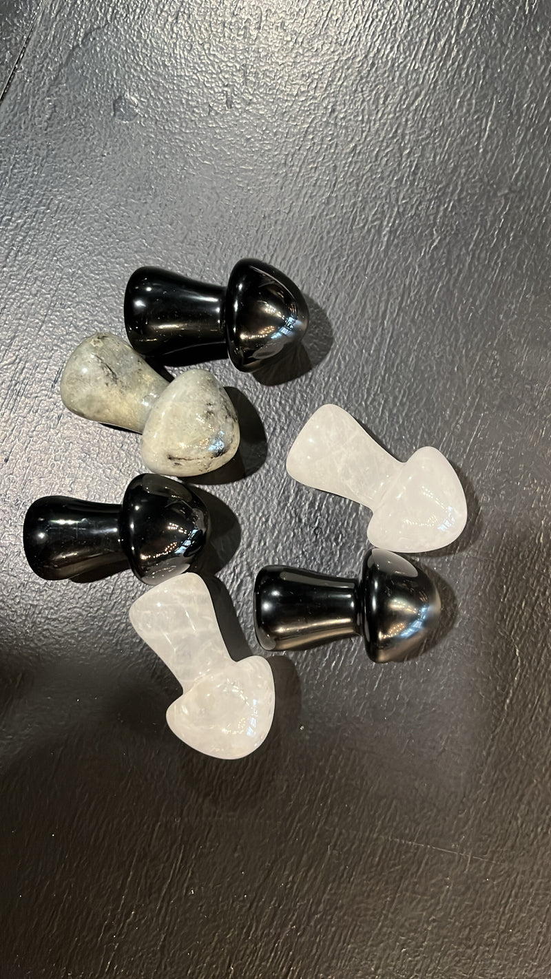 Mushroom Crystals