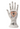 Palmistry Hand Zodiac