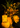Citrine Ritual Gem Essence