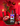 RED Vibrational Color + Gemstone Mist